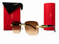 Lente de sol cartier A1.1 premium